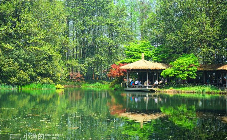 杭州这处免费景点,藏着西湖最美的春天,你去过吗?