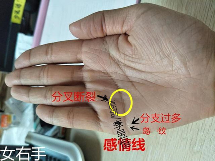 手相结婚线分叉谨防婚变
