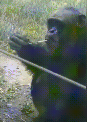 “逛街时女友偷看别人，男友发现后做法太有意思了”哈哈哈休闲区蓝鸢梦想 - Www.slyday.coM