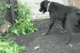 为啥好多男人都三十多岁了还不结婚,还帮你们算了个账,哈哈哈哈休闲区蓝鸢梦想 - Www.slyday.coM 为啥好多男人都三十多岁了还不结婚,还帮你们算了个账,哈哈哈哈休闲区蓝鸢梦想 - Www.slyday.coM