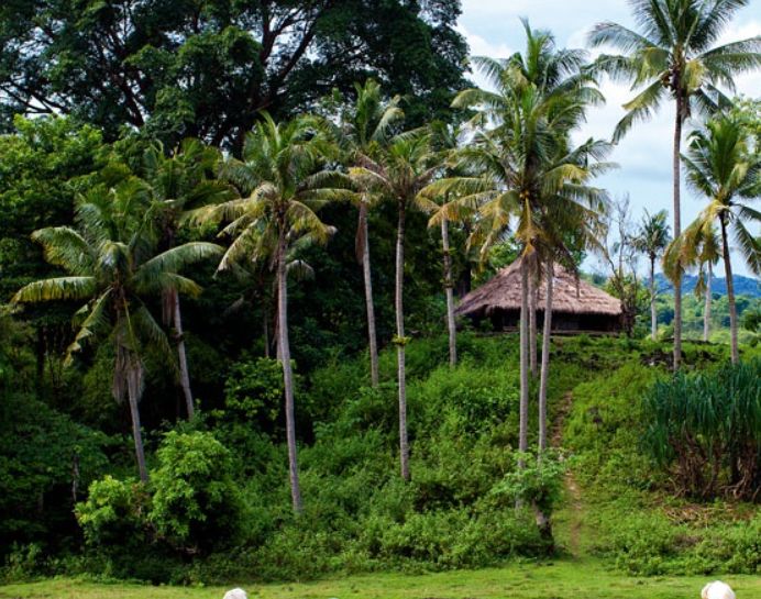 松巴岛:一个曾被遗忘的角落,等你来拾起_高清图集_新浪网