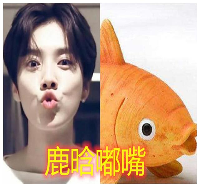 但在心态上却还是一个未长大的小男孩一样,他嘟嘴的模样不单单与金鱼