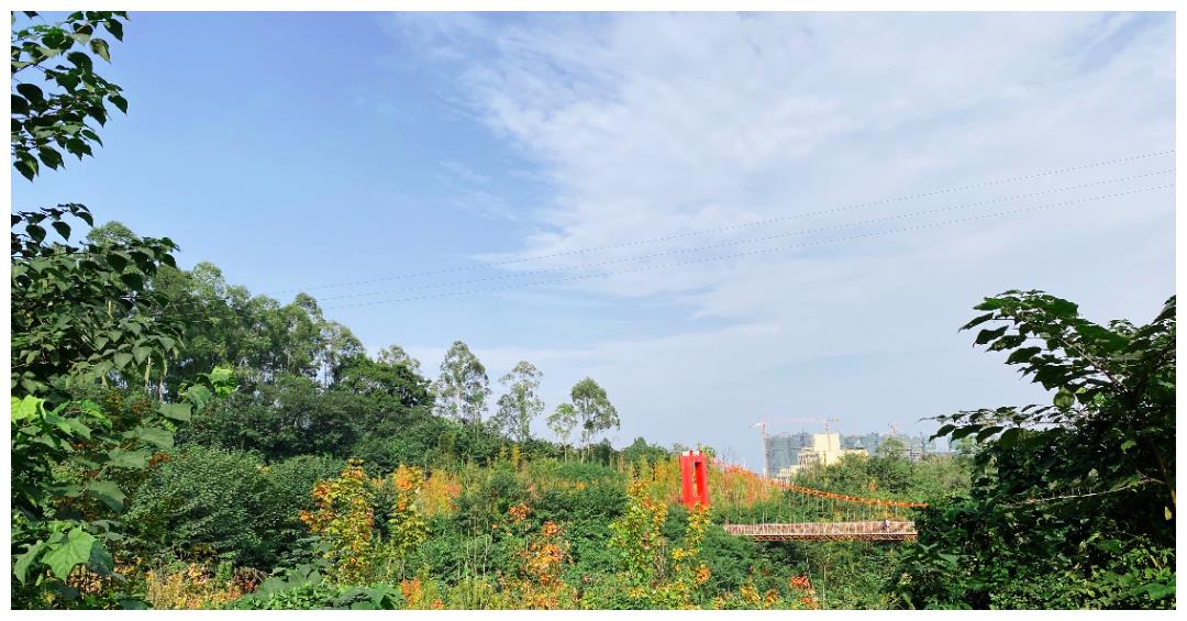 走进西山森林公园,感受多彩的遂宁初冬