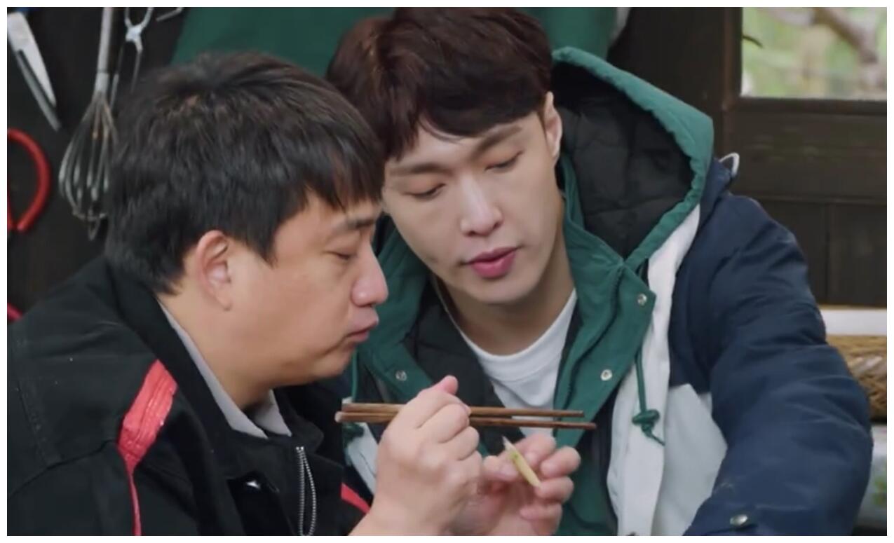 一句话形容《向往5》:张艺兴的极限挑战,黄磊向往的生活__财经头条