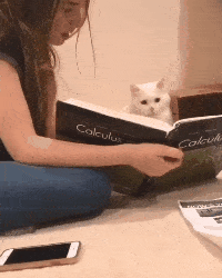 为啥好多男人都三十多岁了还不结婚,还帮你们算了个账,哈哈哈哈休闲区蓝鸢梦想 - Www.slyday.coM 为啥好多男人都三十多岁了还不结婚,还帮你们算了个账,哈哈哈哈休闲区蓝鸢梦想 - Www.slyday.coM