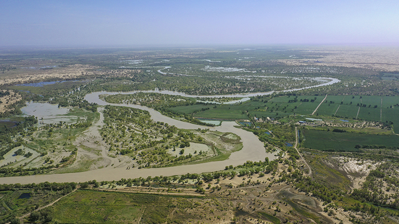 阿拉尔塔里木河图片