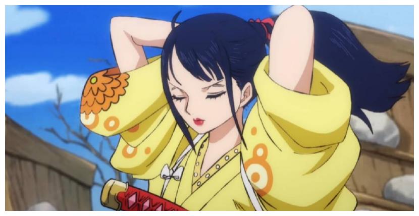 海贼王和之国的小菊身份正式揭晓与白胡子有关系