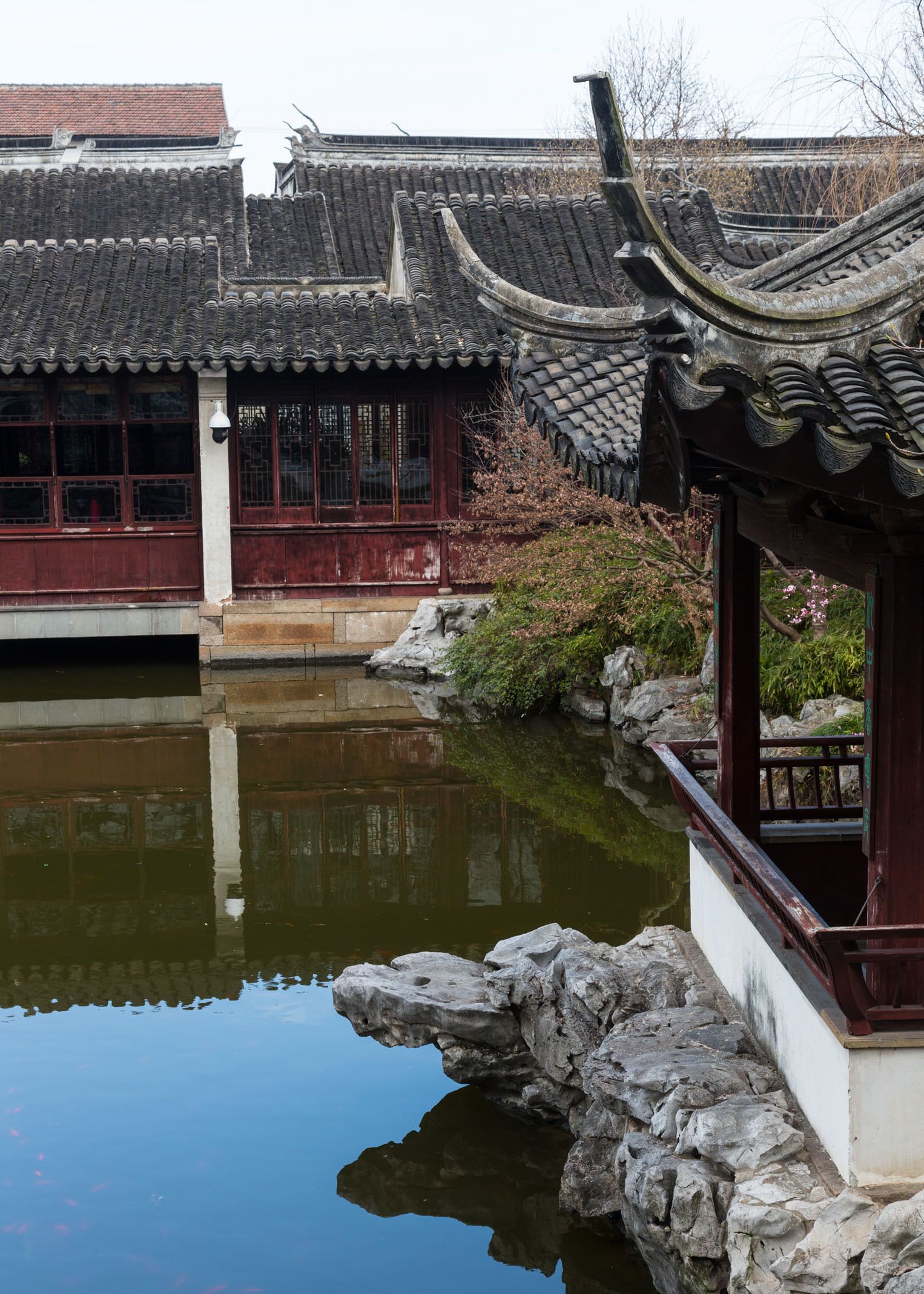 苏州名园之一——艺圃