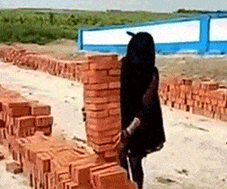 作为一个成年人,让你从他们中二选一,你会怎么选?哈哈哈很现实休闲区蓝鸢梦想 - Www.slyday.coM 作为一个成年人,让你从他们中二选一,你会怎么选?哈哈哈很现实休闲区蓝鸢梦想 - Www.slyday.coM