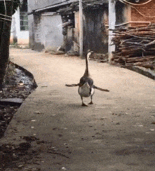 为啥好多男人都三十多岁了还不结婚,还帮你们算了个账,哈哈哈哈休闲区蓝鸢梦想 - Www.slyday.coM 为啥好多男人都三十多岁了还不结婚,还帮你们算了个账,哈哈哈哈休闲区蓝鸢梦想 - Www.slyday.coM