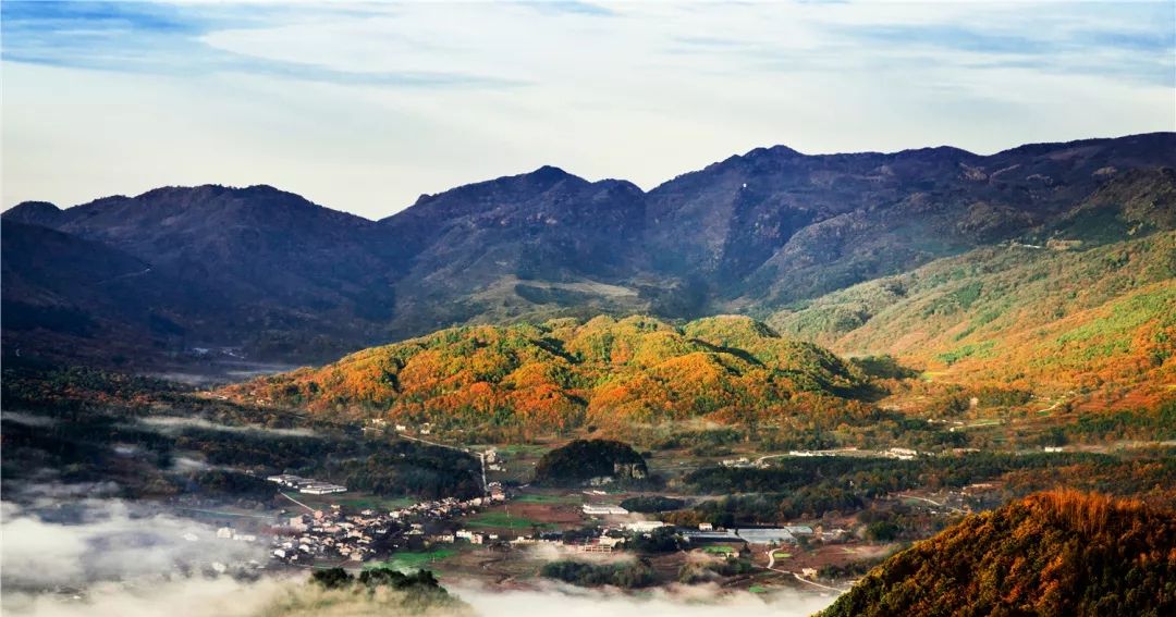 巴中空山森林公园成功入选四川最美林草景观