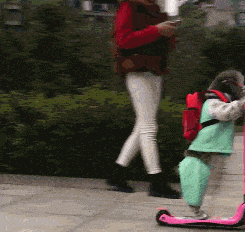 作为一个成年人,让你从他们中二选一,你会怎么选?哈哈哈很现实休闲区蓝鸢梦想 - Www.slyday.coM 作为一个成年人,让你从他们中二选一,你会怎么选?哈哈哈很现实休闲区蓝鸢梦想 - Www.slyday.coM