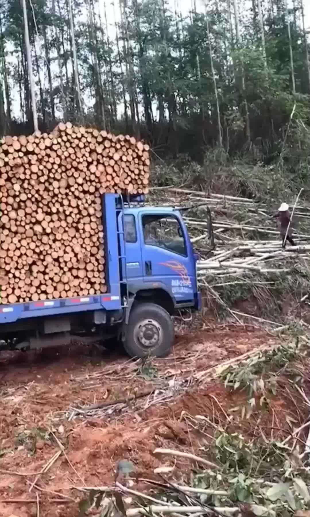 拉木头的大货车真狠堆这么高也不怕翻车佩服
