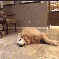 在女友的包里面找到了这样的药，请问是干什么用的啊？哈哈哈哈休闲区蓝鸢梦想 - Www.slyday.coM