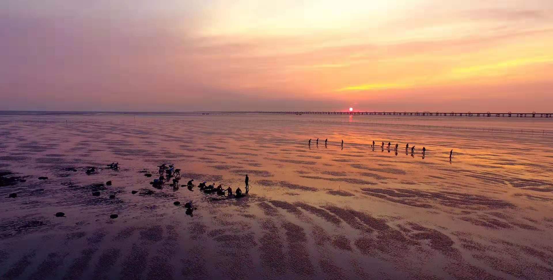 南通 如东 南黄海滩涂采文蛤