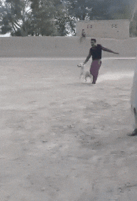 作为一个成年人,让你从他们中二选一,你会怎么选?哈哈哈很现实休闲区蓝鸢梦想 - Www.slyday.coM 作为一个成年人,让你从他们中二选一,你会怎么选?哈哈哈很现实休闲区蓝鸢梦想 - Www.slyday.coM