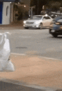 在女友的包里面找到了这样的药，请问是干什么用的啊？哈哈哈哈休闲区蓝鸢梦想 - Www.slyday.coM