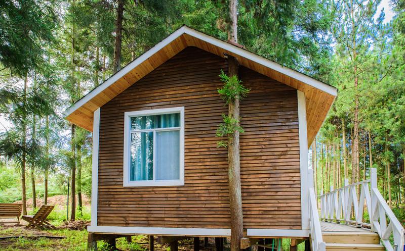 重庆新开了一家森林木屋,竟然位于蓝莓公园内,极为小众!