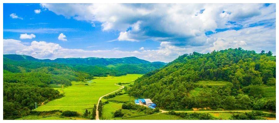 熬到7月中多财多福,3大属相事业兴旺发达,有横财入库|属相|五行|属狗