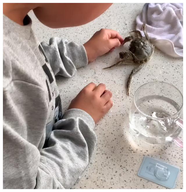 山东10岁男孩被螃蟹夹手哭着等它冷静,母亲:他养了很久有感情|螃蟹