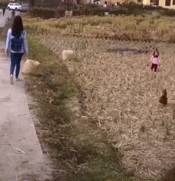 作为一个成年人,让你从他们中二选一,你会怎么选?哈哈哈很现实休闲区蓝鸢梦想 - Www.slyday.coM 作为一个成年人,让你从他们中二选一,你会怎么选?哈哈哈很现实休闲区蓝鸢梦想 - Www.slyday.coM