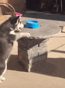 作为一个成年人,让你从他们中二选一,你会怎么选?哈哈哈很现实休闲区蓝鸢梦想 - Www.slyday.coM 作为一个成年人,让你从他们中二选一,你会怎么选?哈哈哈很现实休闲区蓝鸢梦想 - Www.slyday.coM