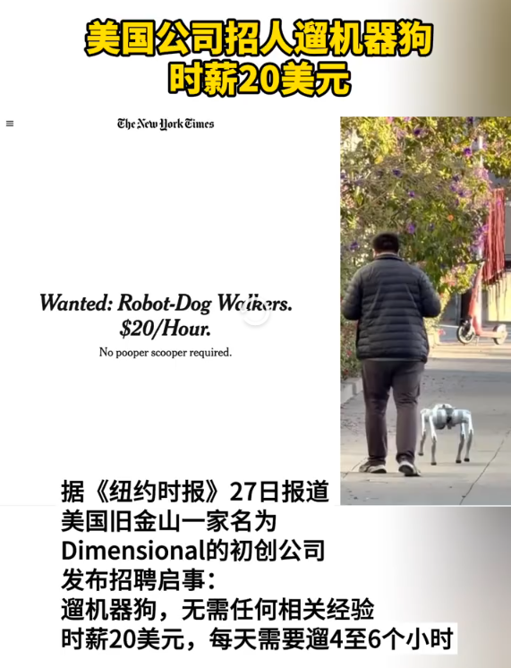 美国公司招人遛宇树机器狗：时薪20美元，每天遛4至6小时