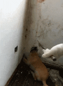 为啥好多男人都三十多岁了还不结婚,还帮你们算了个账,哈哈哈哈休闲区蓝鸢梦想 - Www.slyday.coM 为啥好多男人都三十多岁了还不结婚,还帮你们算了个账,哈哈哈哈休闲区蓝鸢梦想 - Www.slyday.coM