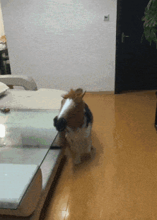 搞笑GIF图：当男人看到美女时，一切病都好了休闲区蓝鸢梦想 - Www.slyday.coM