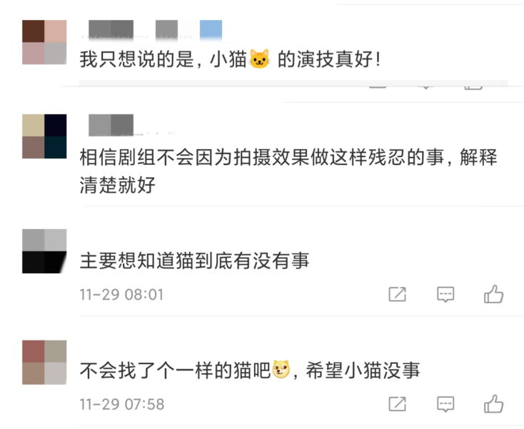 当家主母剧组报案！否认剧中猫咪被电死，并发布小猫回家视频休闲区蓝鸢梦想 - Www.slyday.coM