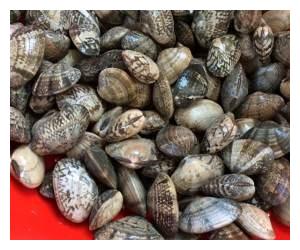 家常快手菜,花蛤肉炒鸡蛋,简单美味营养,超下饭,吃不够