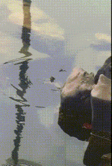 作为一个成年人,让你从他们中二选一,你会怎么选?哈哈哈很现实休闲区蓝鸢梦想 - Www.slyday.coM 作为一个成年人,让你从他们中二选一,你会怎么选?哈哈哈很现实休闲区蓝鸢梦想 - Www.slyday.coM