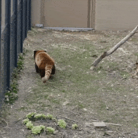 作为一个成年人,让你从他们中二选一,你会怎么选?哈哈哈很现实休闲区蓝鸢梦想 - Www.slyday.coM 作为一个成年人,让你从他们中二选一,你会怎么选?哈哈哈很现实休闲区蓝鸢梦想 - Www.slyday.coM