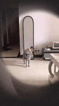 为啥好多男人都三十多岁了还不结婚,还帮你们算了个账,哈哈哈哈休闲区蓝鸢梦想 - Www.slyday.coM 为啥好多男人都三十多岁了还不结婚,还帮你们算了个账,哈哈哈哈休闲区蓝鸢梦想 - Www.slyday.coM