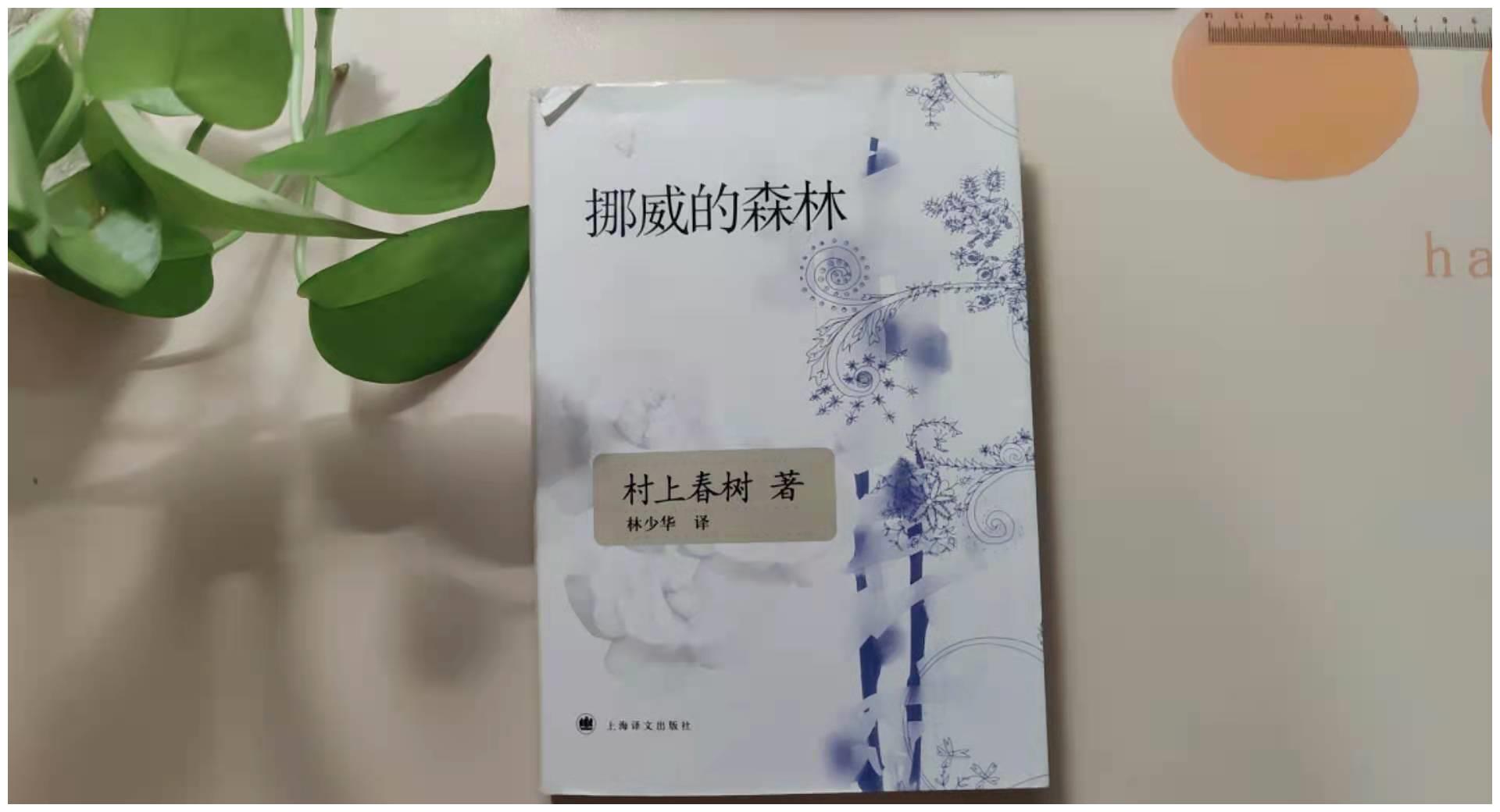 挪威森林猫价格 挪威森林猫最新报价 挪威森林猫多少钱 苏宁易购
