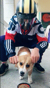 为啥好多男人都三十多岁了还不结婚,还帮你们算了个账,哈哈哈哈休闲区蓝鸢梦想 - Www.slyday.coM 为啥好多男人都三十多岁了还不结婚,还帮你们算了个账,哈哈哈哈休闲区蓝鸢梦想 - Www.slyday.coM