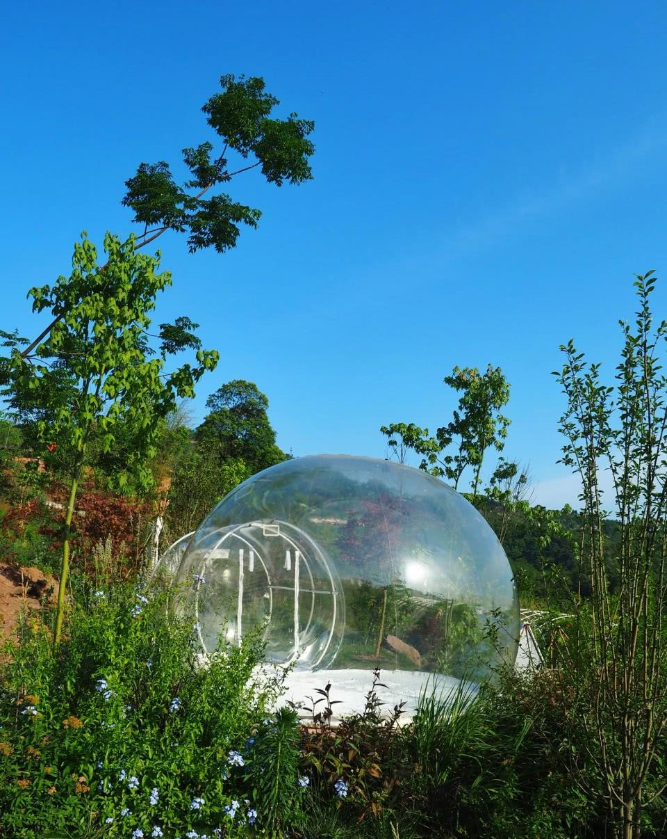 成都爆火的郊区餐厅,网友称为:李子柒式桃源生活,令人叹为观止_高清