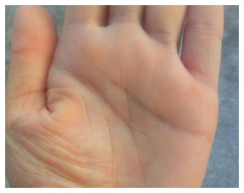 百年难得一遇的富豪手相