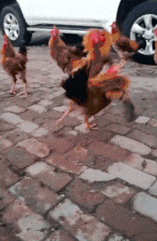 作为一个成年人,让你从他们中二选一,你会怎么选?哈哈哈很现实休闲区蓝鸢梦想 - Www.slyday.coM 作为一个成年人,让你从他们中二选一,你会怎么选?哈哈哈很现实休闲区蓝鸢梦想 - Www.slyday.coM