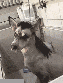 在女友的包里面找到了这样的药，请问是干什么用的啊？哈哈哈哈休闲区蓝鸢梦想 - Www.slyday.coM