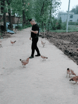 为啥好多男人都三十多岁了还不结婚,还帮你们算了个账,哈哈哈哈休闲区蓝鸢梦想 - Www.slyday.coM 为啥好多男人都三十多岁了还不结婚,还帮你们算了个账,哈哈哈哈休闲区蓝鸢梦想 - Www.slyday.coM