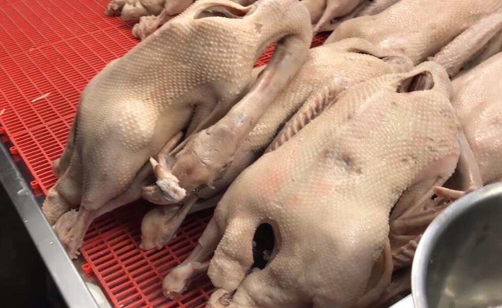 白斩鹅的做法__财经头条