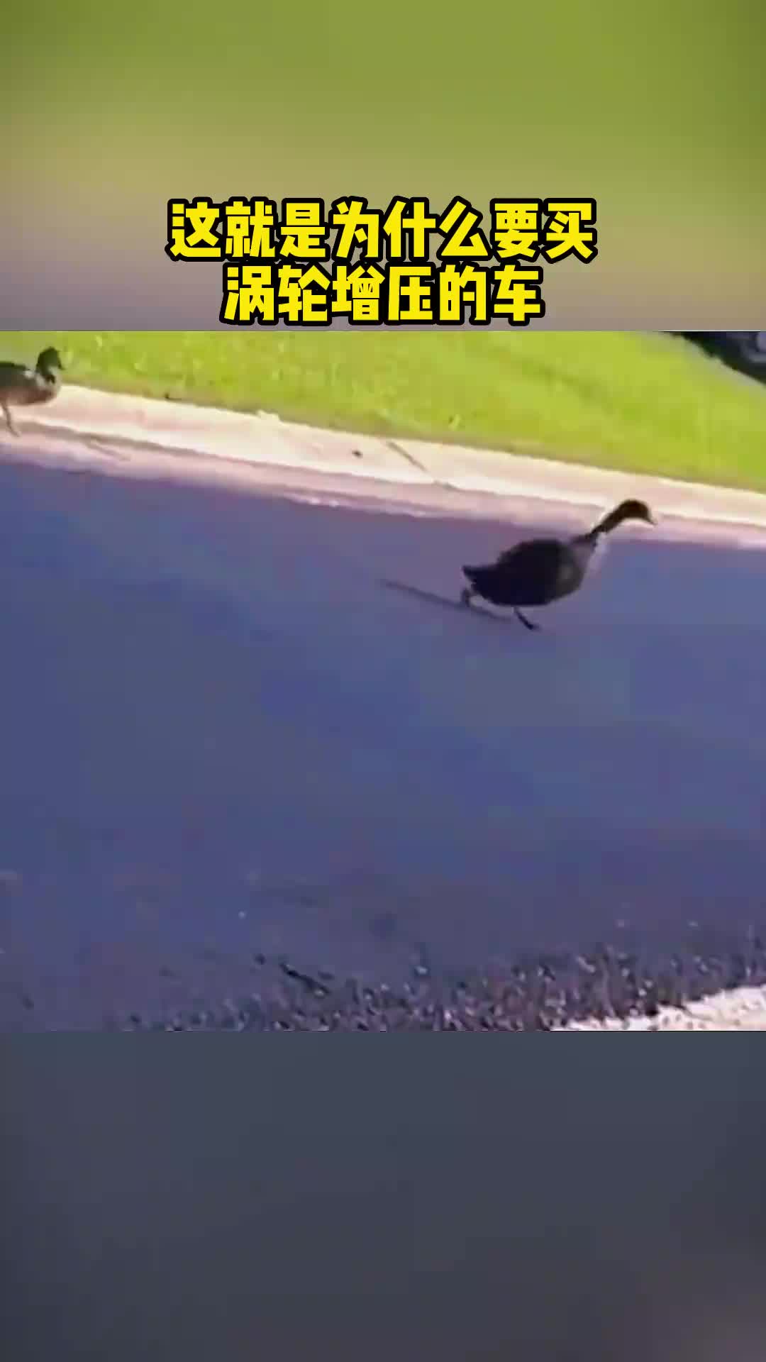 买车一定要买涡轮增压