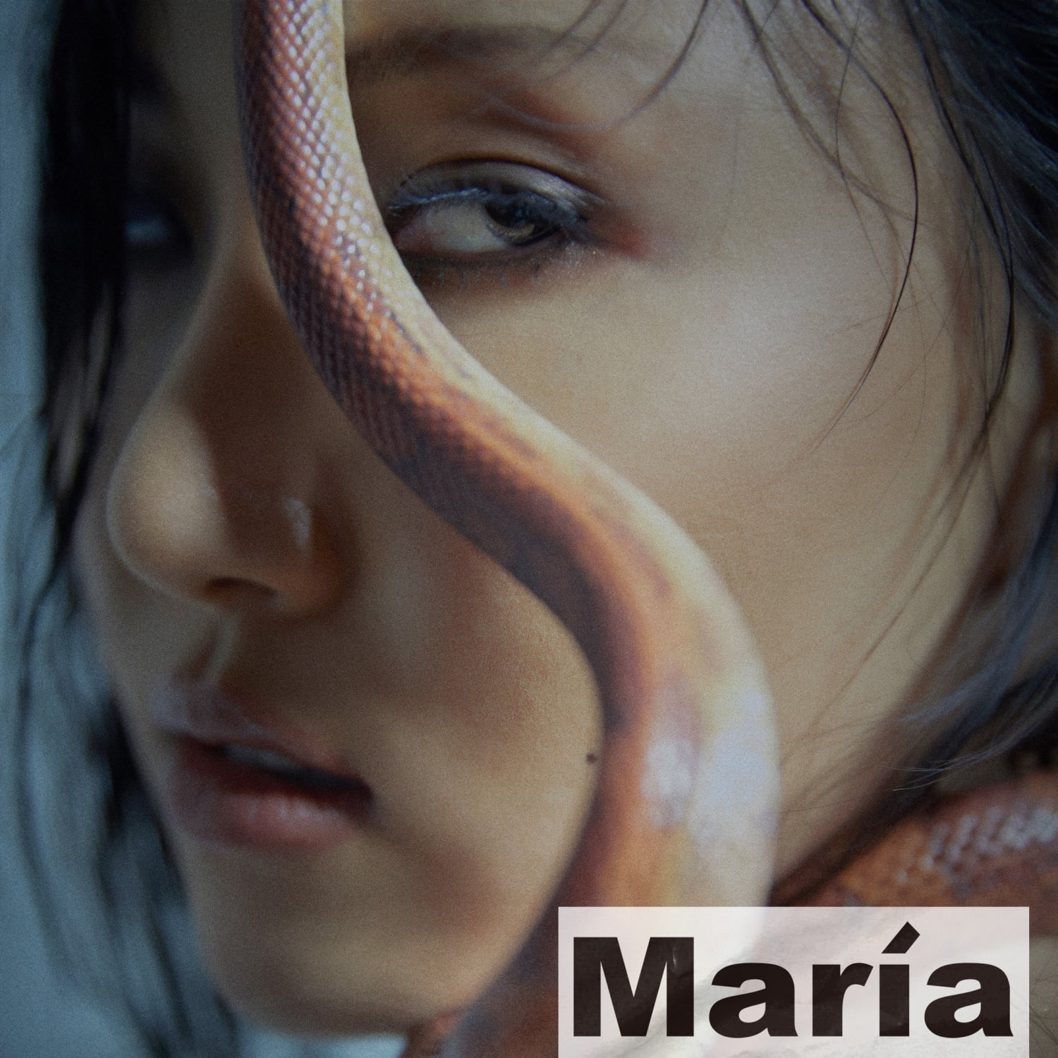 MAMAMOO华莎宣布个人回归日期公开新专辑《María》预告