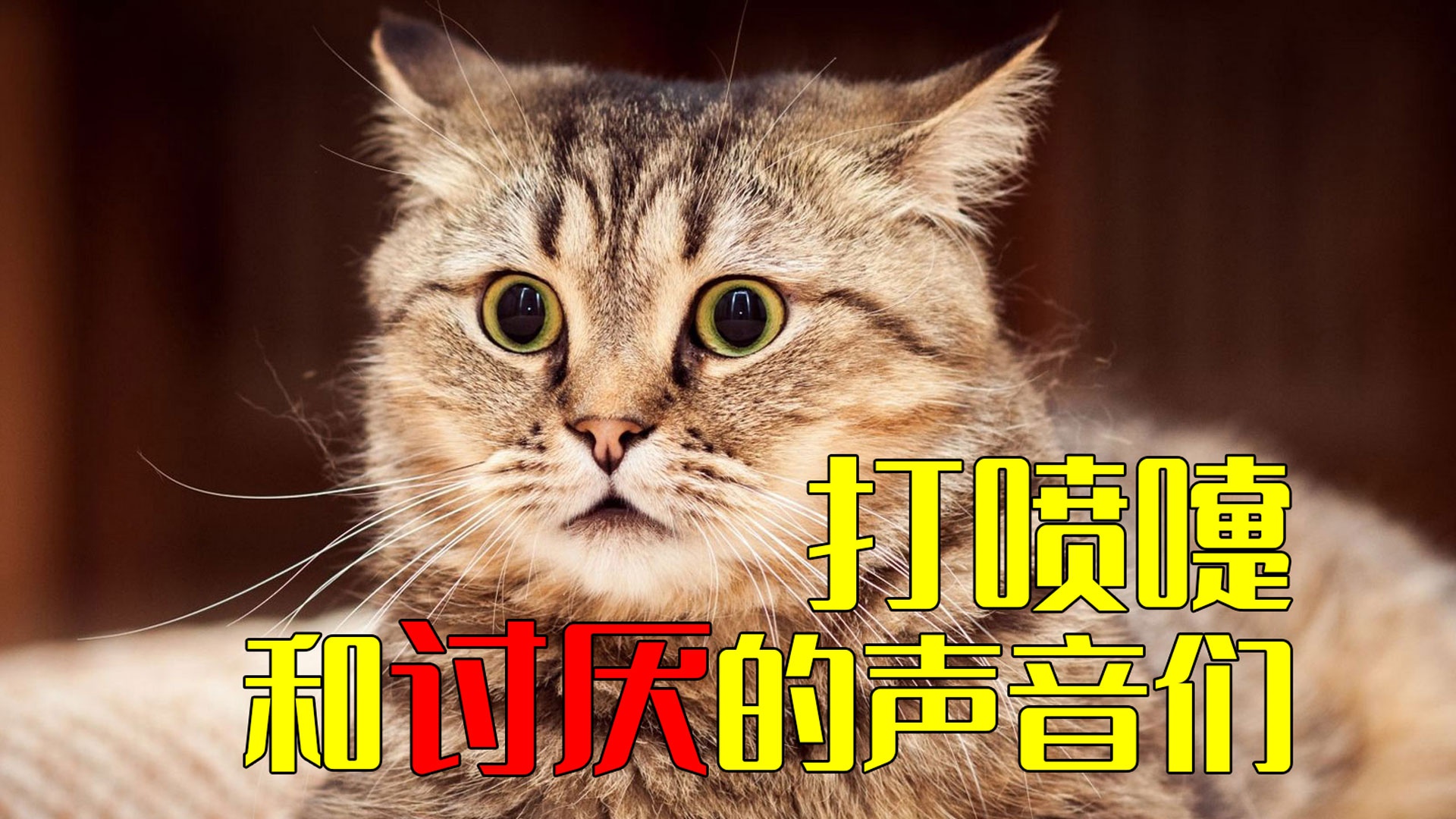 人物音效 打喷嚏声音4 789找