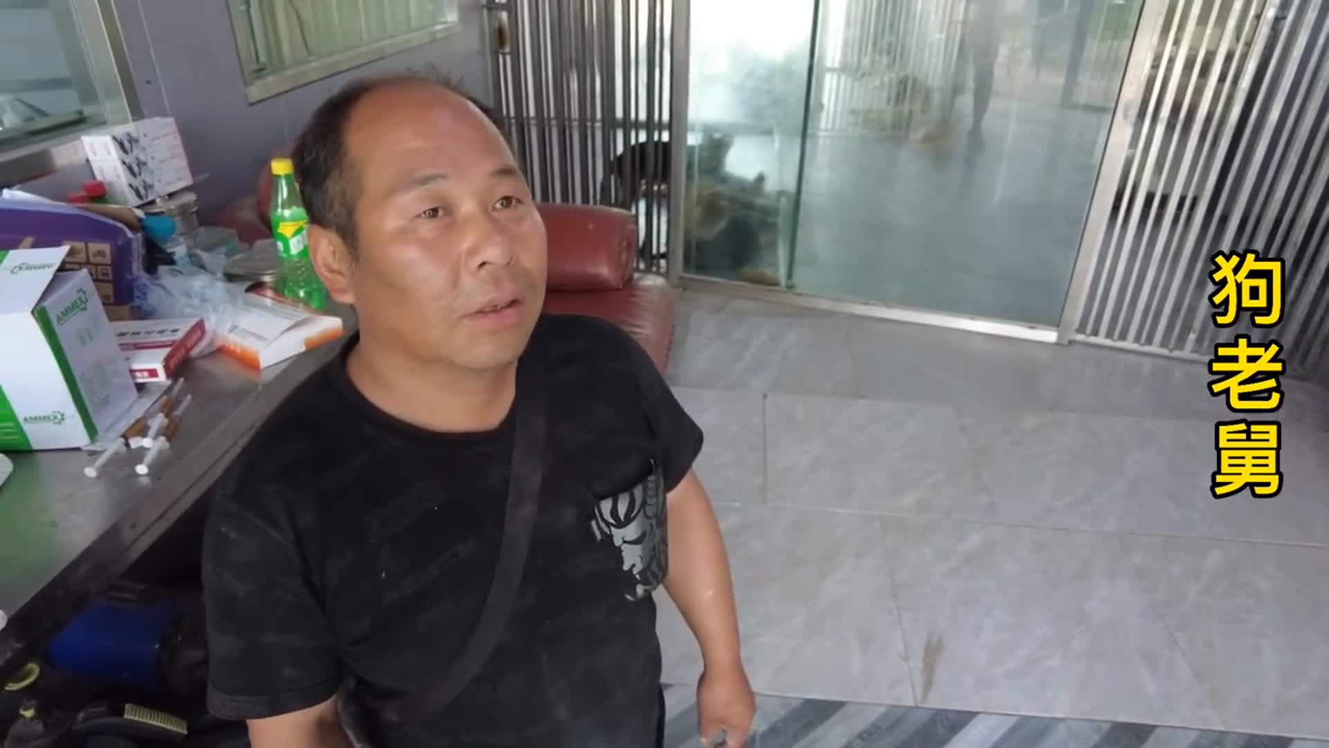 狗狗便血主动配合医生检查,有几种原因引起的,还好不是传染病