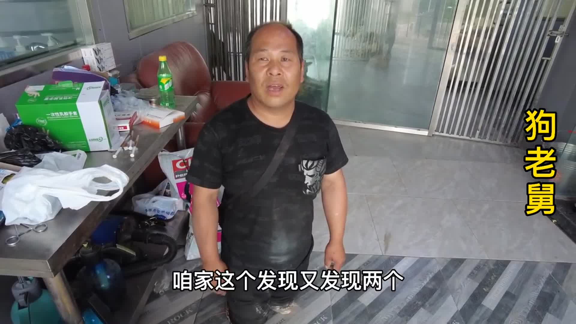狗狗便血主动配合医生检查,有几种原因引起的,还好不是传染病