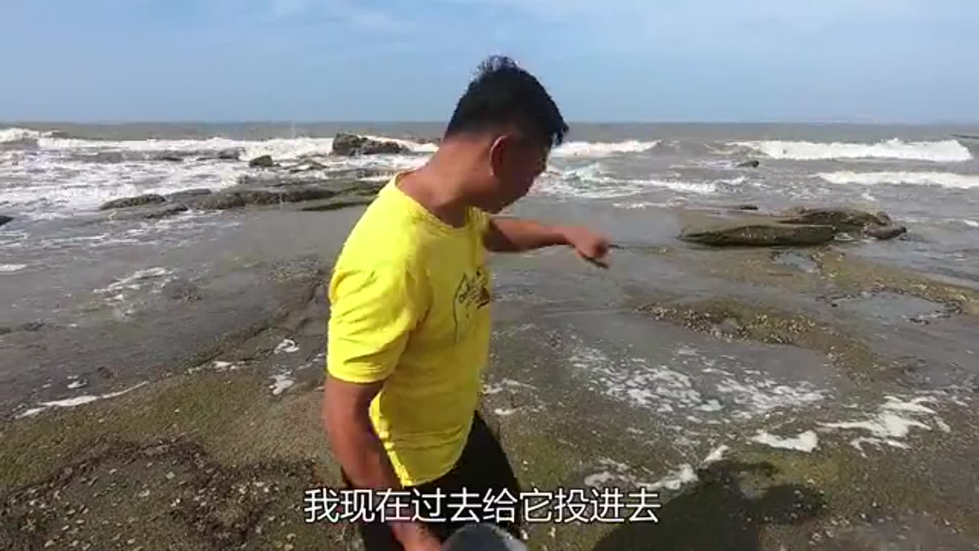 下了2个猪肺的底潮双子坑 深海巨货被海鳗咬得断手断脚 太惨了 下了2个猪肺的底潮双子坑 深海巨货被海鳗咬得断手断脚 太惨了