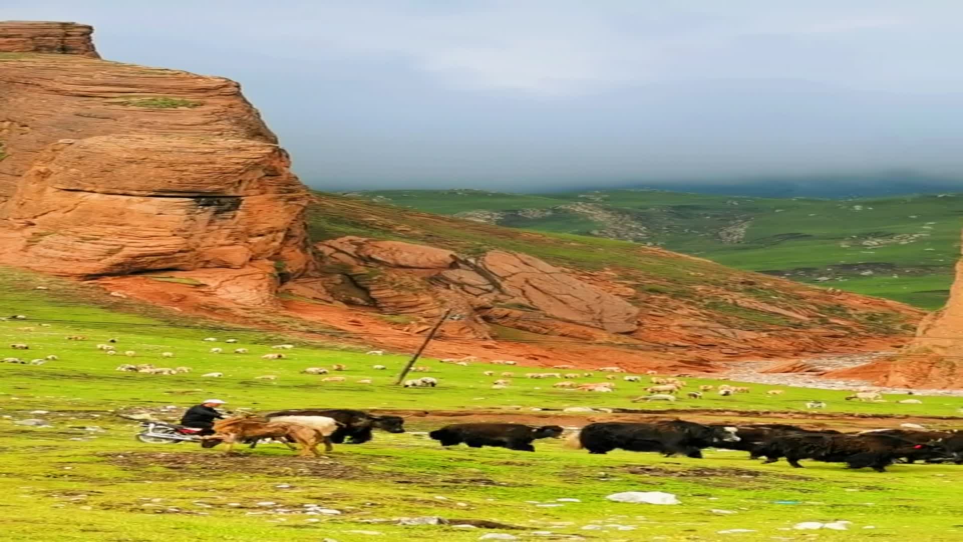 格萨尔王的拴马桩.这样的场景你喜欢吗?