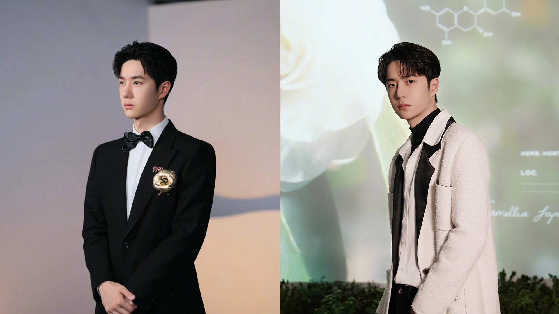 王一博发声明否认被包养:从未参与嫖娼事件,完全不认识李易峰